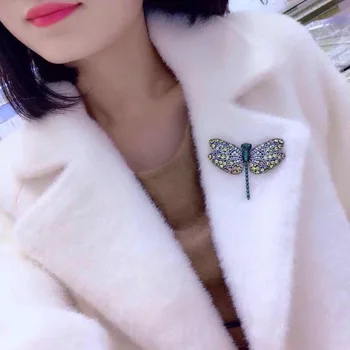 Dragonfly Brooch S925 Sterling Silver Rhinestone Brooch Female Accessories Japanese And Korean Cute Students Luxury Atmosphere
Dragonfly Brooch S925 Sterling Silver Rhinestone Brooch Female Accessories Japanese And Korean Cute Students Luxury Atmosphere