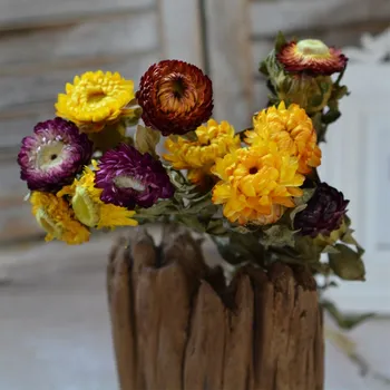 Wholesale dry flower wheat straw colorful small chrysanthemum home decoration dry flower bouquet full of stars Free Shipping
Wholesale dry flower wheat straw colorful small chrysanthemum home decoration dry flower bouquet full of stars Free Shipping