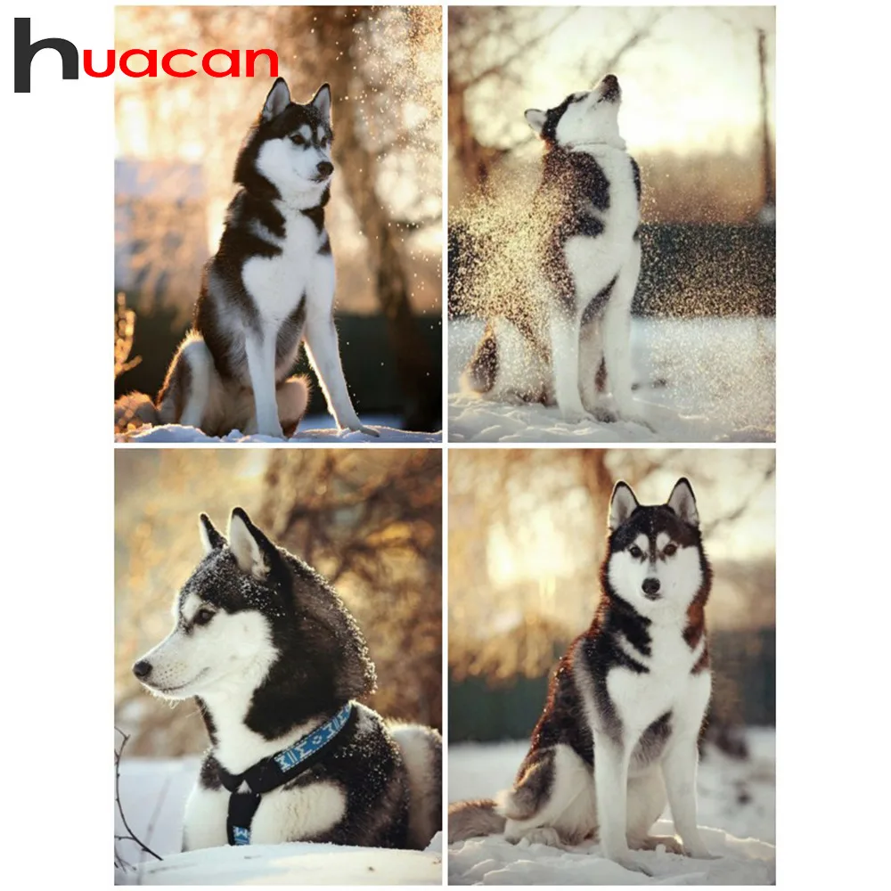 Huacan Diamond Mosaic Animal Dog 5D Diamond Painting Full Square Diamond Embroidery Sale Rhinestone Picture Gift Drop Ship
Huacan Diamond Mosaic Animal Dog 5D Diamond Painting Full Square Diamond Embroidery Sale Rhinestone Picture Gift Drop Ship