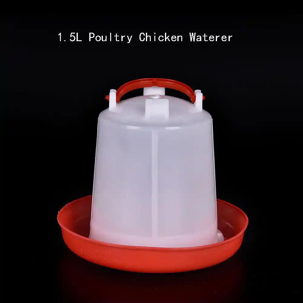 Lanlan Chicken Waterer Chicken Drinking Water Feeder Quail Kettle