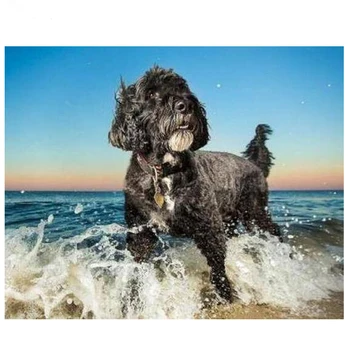 Portuguese Water Dog diamond embroidery puzzles diamond painting sale for mosaic picture of rhinestones cross-stitch Z1007
Portuguese Water Dog diamond embroidery puzzles diamond painting sale for mosaic picture of rhinestones cross-stitch Z1007
