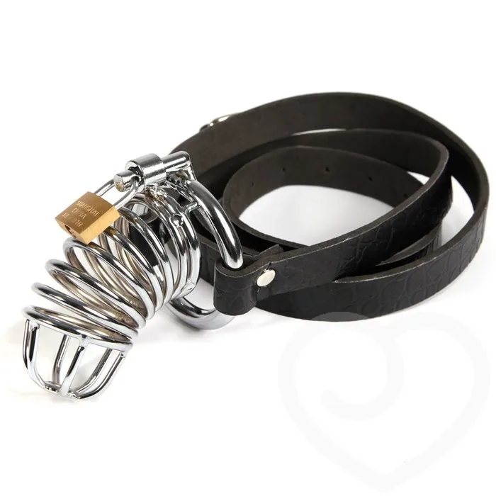 Including 3 size ring metal male chastity belt cock cage Device CB6000S bondage restraint sex toys 2