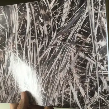 2017 NEW Grass CAMO Vinyl Film For WHOLE Car wrap covering with air bubble free Truck / boat MOTOR stickers Size: 5ft x 98ft
2017 NEW Grass CAMO Vinyl Film For WHOLE Car wrap covering with air bubble free Truck / boat MOTOR stickers Size: 5ft x 98ft