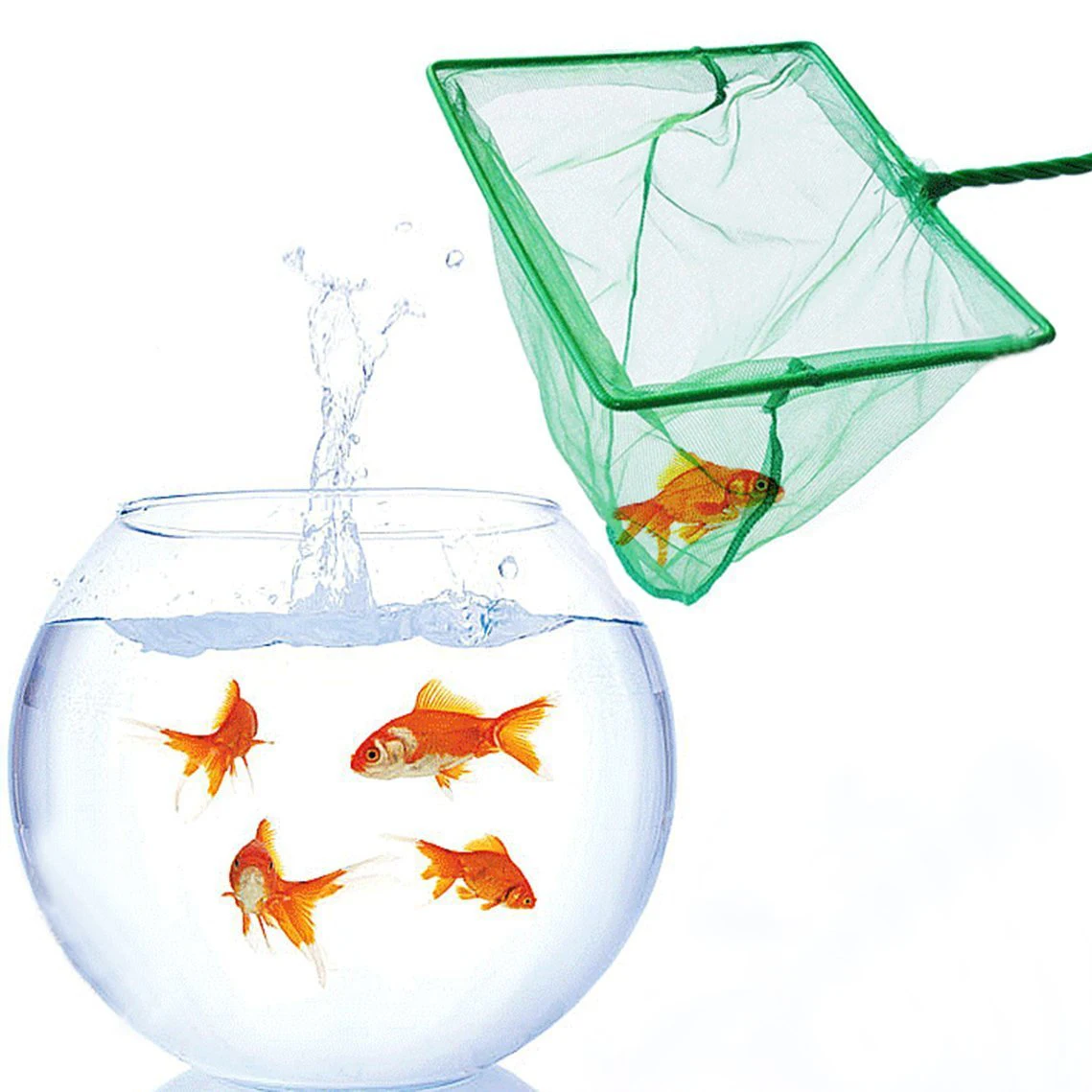Professional Aquarium Green Easy to Catch Betta Scoop Nylon Mesh Net Fishing Net Landing net
Professional Aquarium Green Easy to Catch Betta Scoop Nylon Mesh Net Fishing Net Landing net