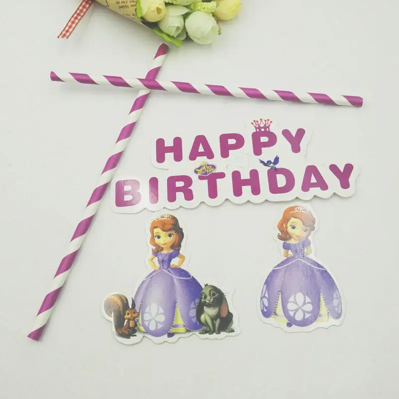 Disney Sofia Princess Snow Queen Movie Baby Birthday Party