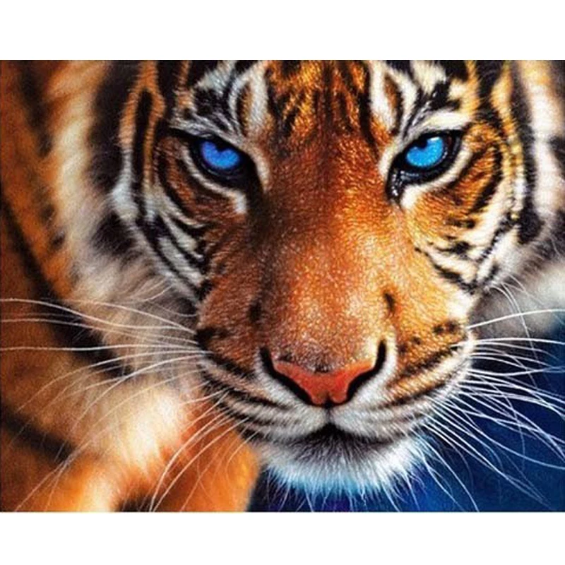 OLY 2016 hot sell 5D Diy Diamond painting 3D cross stitch diamond embroidery tiger full diamonds painting animal
OLY 2016 hot sell 5D Diy Diamond painting 3D cross stitch diamond embroidery tiger full diamonds painting animal