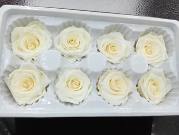 Mother's Day gifts preserved flowers 8pcs/lot flowers wholesale immortal rose diy eternal life flower material 4-5cm
Mother's Day gifts preserved flowers 8pcs/lot flowers wholesale immortal rose diy eternal life flower material 4-5cm