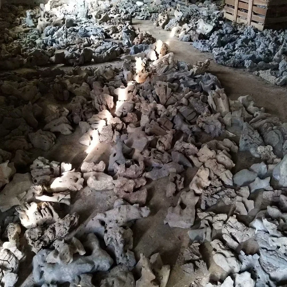 Reptile aquarium potted Decoration Bonsai Porous irregular Rockery Mountain Natural Wind Tunnel Water Flow Erosion Strange Stone
Reptile aquarium potted Decoration Bonsai Porous irregular Rockery Mountain Natural Wind Tunnel Water Flow Erosion Strange Stone