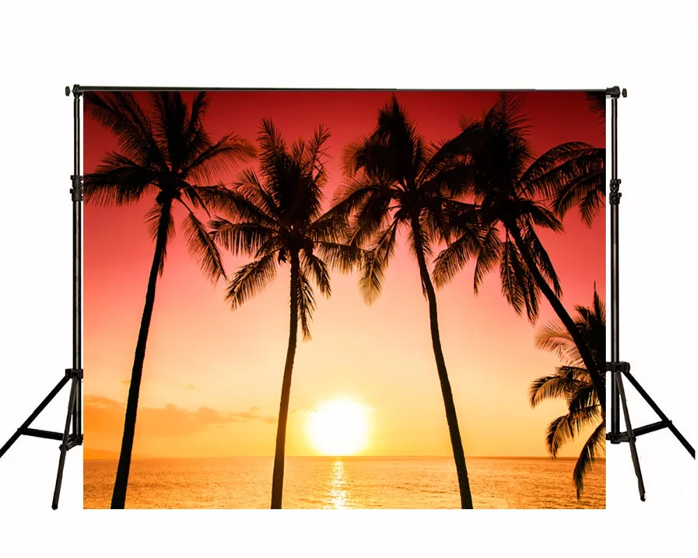 Wedding Photographic Backgrounds Vinyl Photo Backdrops Toile De Fond Backdrops Summer Beach Backgrounds For Photo Studio
Wedding Photographic Backgrounds Vinyl Photo Backdrops Toile De Fond Backdrops Summer Beach Backgrounds For Photo Studio