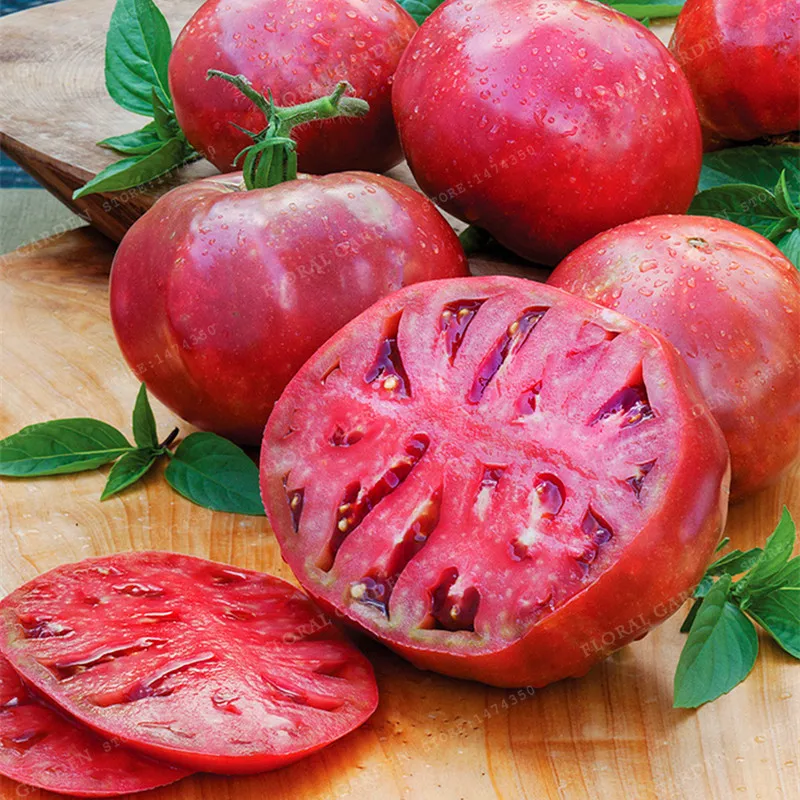 100pcs Lycopersicon Esculentum Tomato Bonsai Rare Tomato Bonsai Organic Vegetable& Fruit Bonsai Potted Plant For Home&Garden
100pcs Lycopersicon Esculentum Tomato Bonsai Rare Tomato Bonsai Organic Vegetable& Fruit Bonsai Potted Plant For Home&Garden