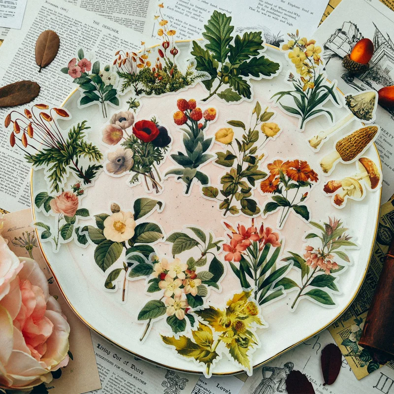 YPP CRAFT 45pcs Vintage Flower Vellum Self-adhesive Stickers for Scrapbooking Happy Planner/Card Making/Journaling Project
YPP CRAFT 45pcs Vintage Flower Vellum Self-adhesive Stickers for Scrapbooking Happy Planner/Card Making/Journaling Project