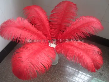 Cheap! Beautiful red ostrich feathers 100 pcs 14-16 inches / 35-40 cm Free Shipping
Cheap! Beautiful red ostrich feathers 100 pcs 14-16 inches / 35-40 cm Free Shipping