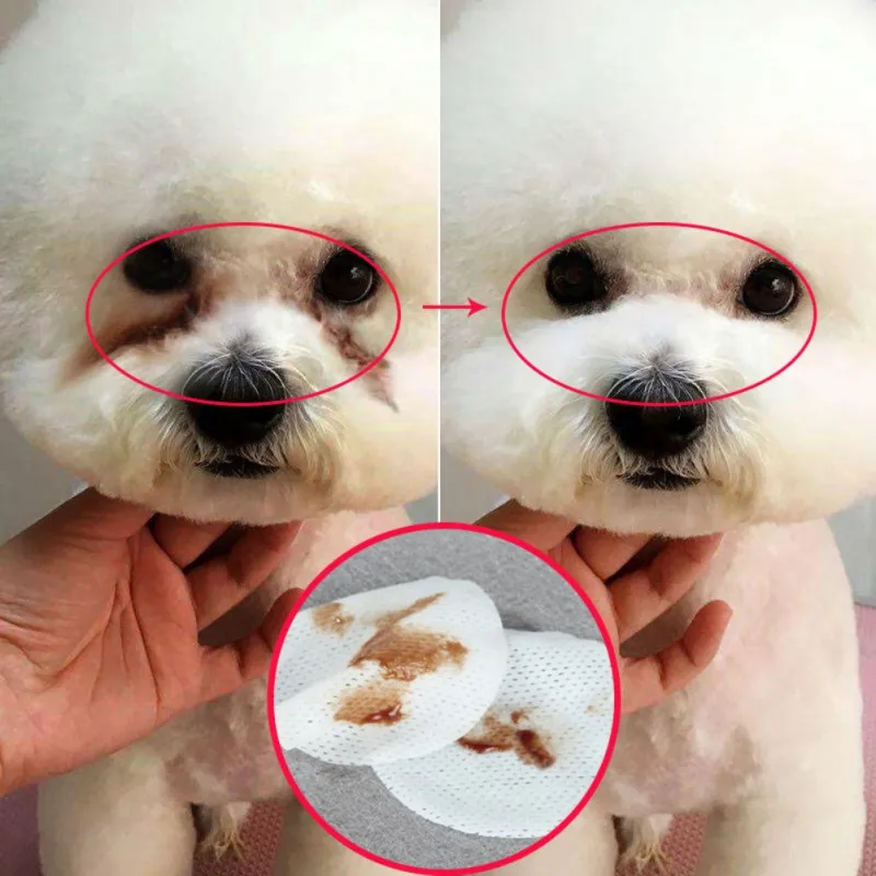 120/100PCS/Set Pet Eye Wet Wipes Cat Dog Tear Stain Remover Gentle Non-intivating Cleaning Wipes Grooming Paper Towels
120/100PCS/Set Pet Eye Wet Wipes Cat Dog Tear Stain Remover Gentle Non-intivating Cleaning Wipes Grooming Paper Towels