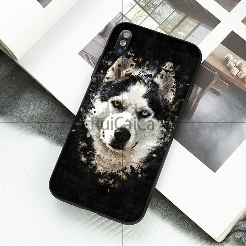 Animal Dog Tiger Panda Wolf Art