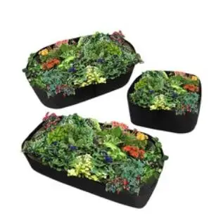c-8 colors fang colors Black Thickening Fabric Pot Plant Pouch Root Container Grow Bag Tools Garden Pots Planters Supplies
c-8 colors fang colors Black Thickening Fabric Pot Plant Pouch Root Container Grow Bag Tools Garden Pots Planters Supplies