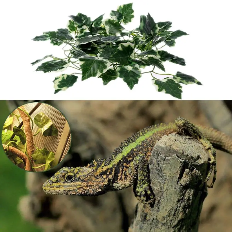 1 Pcs Simulation Design Non-Toxic Tasteless Reptile Box Lizards Terrarium Artificial Vine Decoration Lizard Fake Plants
1 Pcs Simulation Design Non-Toxic Tasteless Reptile Box Lizards Terrarium Artificial Vine Decoration Lizard Fake Plants