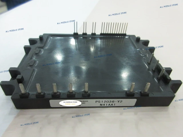 PS12036-Y2
