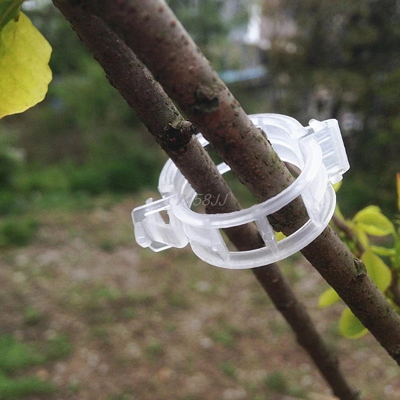 10Pcs Tomato clips trellis vegetable binder twine garden plant support 24mm G03 Drop ship
10Pcs Tomato clips trellis vegetable binder twine garden plant support 24mm G03 Drop ship