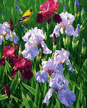 Frameless picture oil painting by numbers wall decor diy painting on canvas for home decor 4050 poppy field
Frameless picture oil painting by numbers wall decor diy painting on canvas for home decor 4050 poppy field