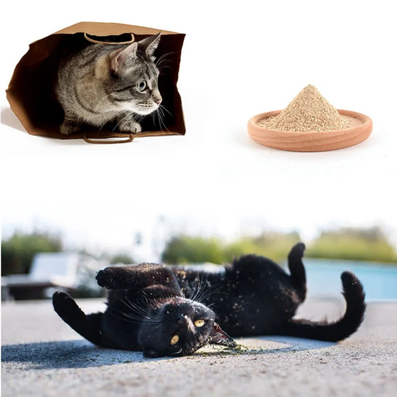 Pet Cat Spit Hair Helps Digestive Matatabi Actinidia Wood Scorpion Powder Toy Cats Snack For Gatos
Pet Cat Spit Hair Helps Digestive Matatabi Actinidia Wood Scorpion Powder Toy Cats Snack For Gatos