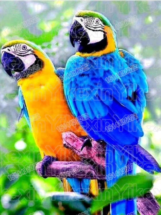 DIY Diamond Painting Parrot Anmial Full Drill Rhinestone cross stitch kits handmade embroider Crafts love gift
DIY Diamond Painting Parrot Anmial Full Drill Rhinestone cross stitch kits handmade embroider Crafts love gift