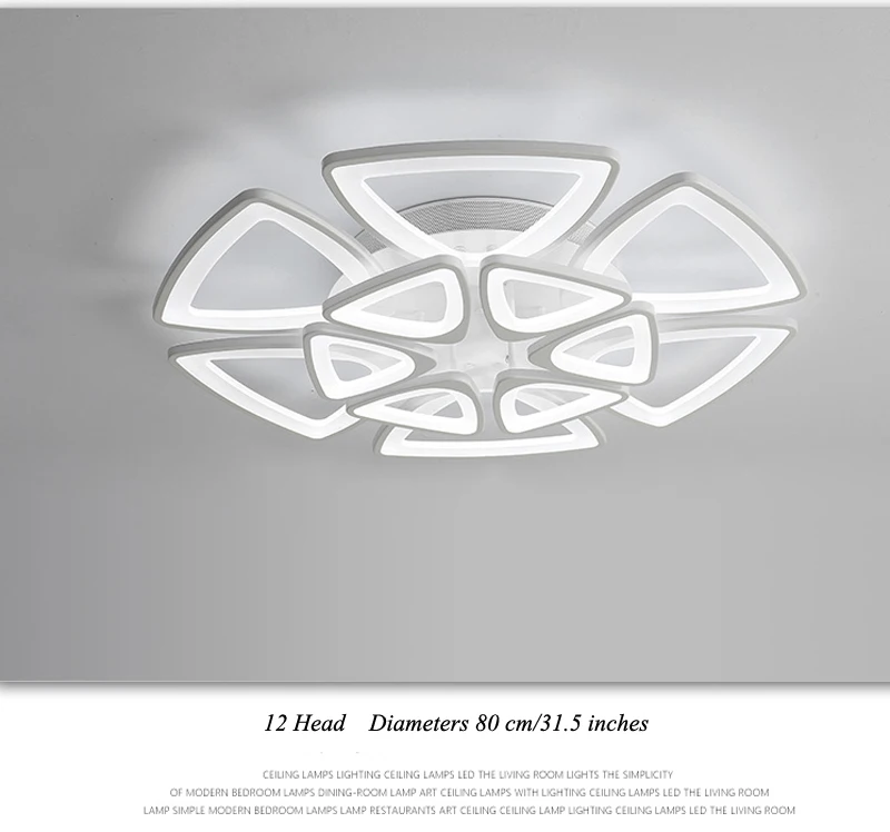 modern ceiling light (23)