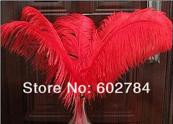 EMS Free shipping red 3PCS 50-55cm 20-22inch ostrich feather ostrich plumage Wedding centerpieces
EMS Free shipping red 3PCS 50-55cm 20-22inch ostrich feather ostrich plumage Wedding centerpieces