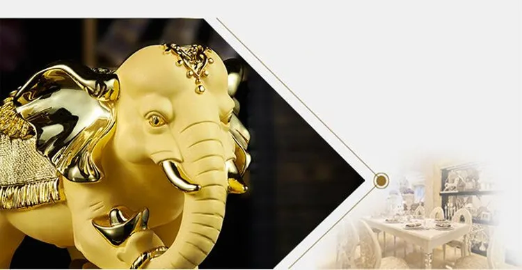 elephant 6
