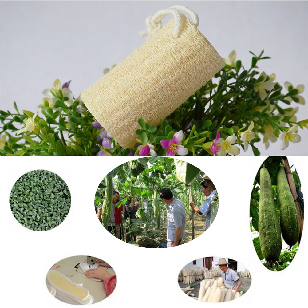 bathroom accessories Natural Loofah Luffa Loofa Bath Shower Sponge Spa message Body Scrubber Horniness Remover Hot Sale
bathroom accessories Natural Loofah Luffa Loofa Bath Shower Sponge Spa message Body Scrubber Horniness Remover Hot Sale