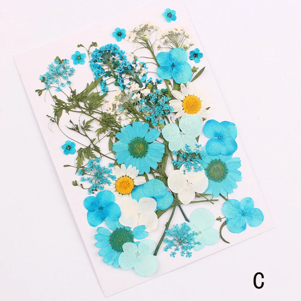 Pressed Flower Mixed Organic Natural Dried Flowers DIY Art Floral Decors Collection Gift LBShipping
Pressed Flower Mixed Organic Natural Dried Flowers DIY Art Floral Decors Collection Gift LBShipping