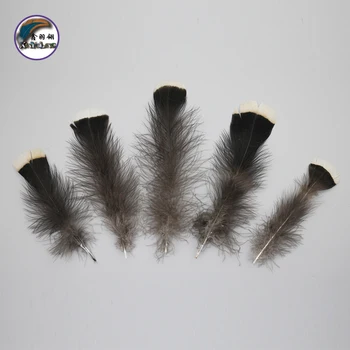 4.8-8 Inch(12-20 cm)Chinese Top Manufacturer Wholesale Best Selling Feather Natural Turkey Tail Down Feathers for Decoration
4.8-8 Inch(12-20 cm)Chinese Top Manufacturer Wholesale Best Selling Feather Natural Turkey Tail Down Feathers for Decoration
