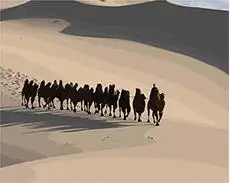 MaHuaf-X1389 Camel in the desert DIY oil Painting By Numbers on canvas hand painted digital wall art picture for living room
MaHuaf-X1389 Camel in the desert DIY oil Painting By Numbers on canvas hand painted digital wall art picture for living room