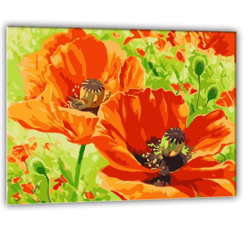 DIY Framed Oil Painting By Numbers Red poppy flower Pictures Canvas Painting For Living Room Wall Art Home Decor
DIY Framed Oil Painting By Numbers Red poppy flower Pictures Canvas Painting For Living Room Wall Art Home Decor