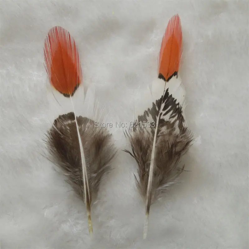 50Pcs/Lot 2-4 " 6-10CM LADY AMHERST FEATHERS with Red Tips Craft Material for hats, headdresses, hair clips, and headbands
50Pcs/Lot 2-4 " 6-10CM LADY AMHERST FEATHERS with Red Tips Craft Material for hats, headdresses, hair clips, and headbands