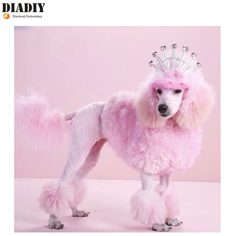 DIADIY NEW arrival 5D Full Diy New Diamond Embroidery Painting cute pet Dogs Crown Poodle Cross Stitch Home Decor Gift Hot sale
DIADIY NEW arrival 5D Full Diy New Diamond Embroidery Painting cute pet Dogs Crown Poodle Cross Stitch Home Decor Gift Hot sale