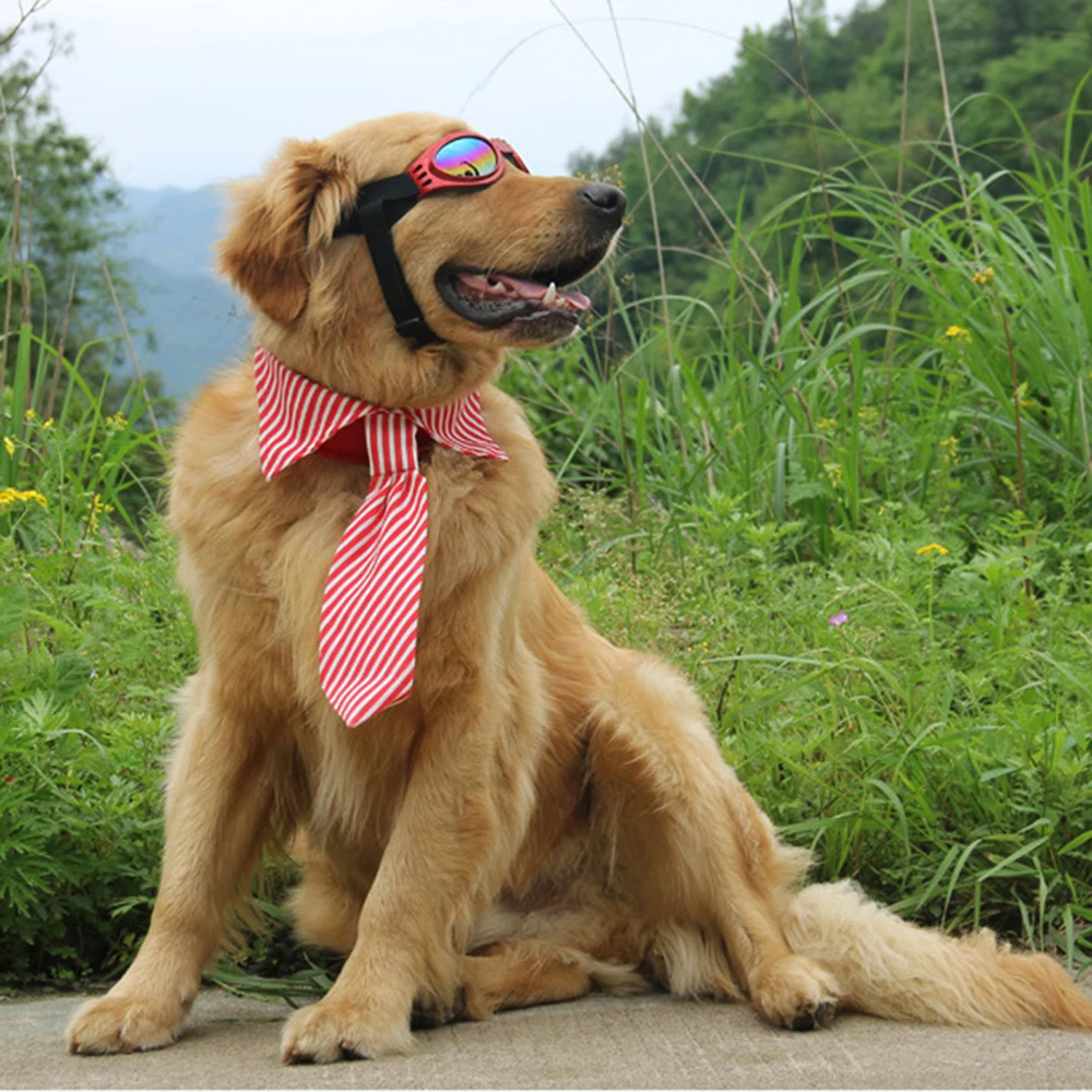 Dog Grooming Cat Striped Bow Tie Animal Striped Bowtie Collar Pet Adjustable Neck Tie White Collar Dog Necktie For Party D20
Dog Grooming Cat Striped Bow Tie Animal Striped Bowtie Collar Pet Adjustable Neck Tie White Collar Dog Necktie For Party D20