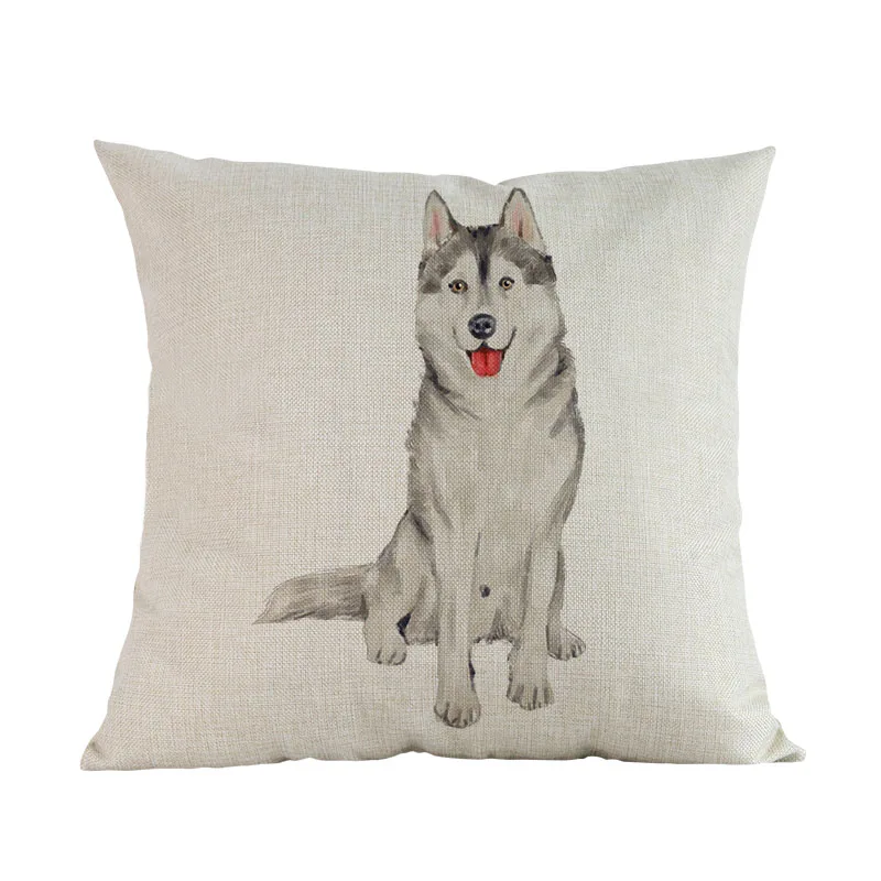 husky