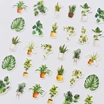 45 Sheets/Box Green Plants Fresh Life Decorative Stickers Scrapbooking DIY Diary Album Stick Label
45 Sheets/Box Green Plants Fresh Life Decorative Stickers Scrapbooking DIY Diary Album Stick Label