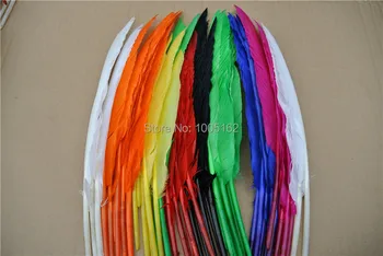 Wholesale 1000pcs12-14inch royal blue orange black white lime green purple turquosie hot pink yellow Turkey wing Feathers
Wholesale 1000pcs12-14inch royal blue orange black white lime green purple turquosie hot pink yellow Turkey wing Feathers