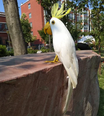 white feathers parrot 30cm cockatoo artificial bird handicraft,prop,home garden decoration gift p2730
white feathers parrot 30cm cockatoo artificial bird handicraft,prop,home garden decoration gift p2730
