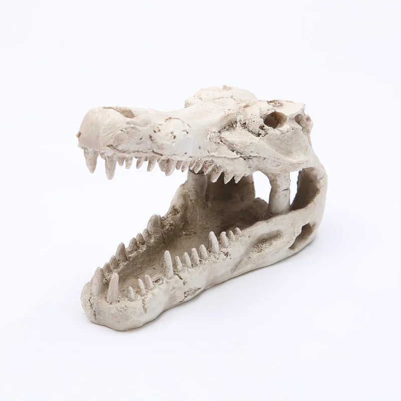 Jurassic Park Animal Dinosaur head Skull fancy Creative action figure toys Skeleton model decor collection Aquarium ornaments
Jurassic Park Animal Dinosaur head Skull fancy Creative action figure toys Skeleton model decor collection Aquarium ornaments