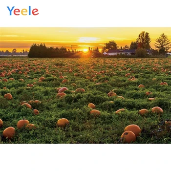 Yeele Sunset Clouds Field Pumpkin Grassland Autumn Photography Backgrounds Customized Photographic Backdrops for Photo Studio
Yeele Sunset Clouds Field Pumpkin Grassland Autumn Photography Backgrounds Customized Photographic Backdrops for Photo Studio