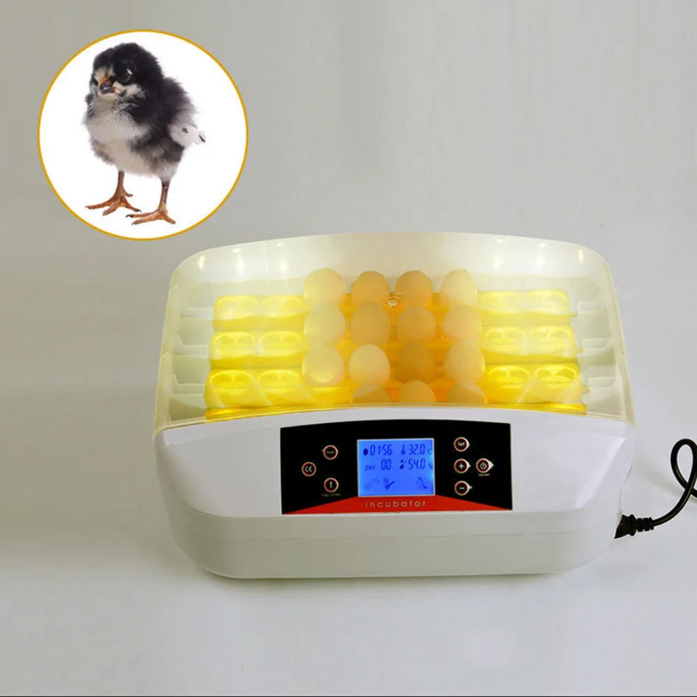 (Ship from Germany) 32 eggs incubator breeder Inkubator Fully Automatic Egg Candler
(Ship from Germany) 32 eggs incubator breeder Inkubator Fully Automatic Egg Candler