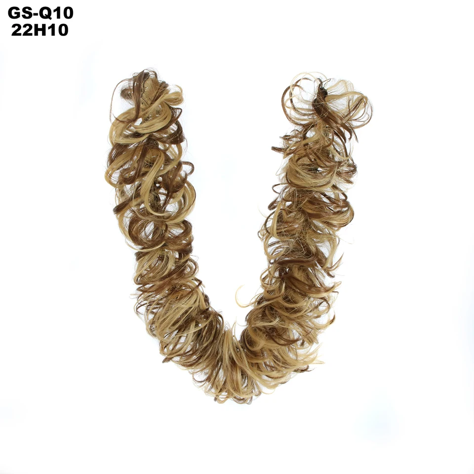 GS-Q10 22H10