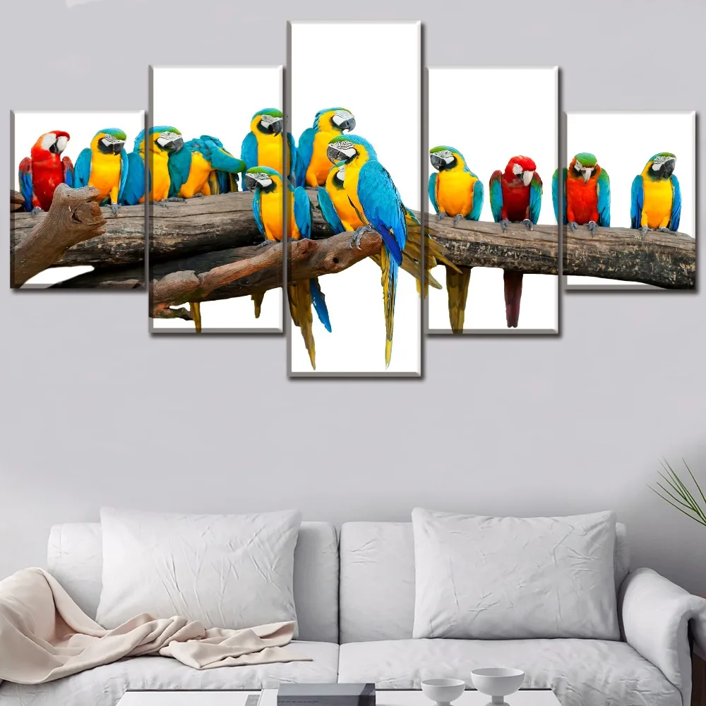Canvas HD Prints Paintings Home Decor Framework 5 Piece Colorful Animal Macaw Posters For Living Room Wall Art Modular Pictures
Canvas HD Prints Paintings Home Decor Framework 5 Piece Colorful Animal Macaw Posters For Living Room Wall Art Modular Pictures