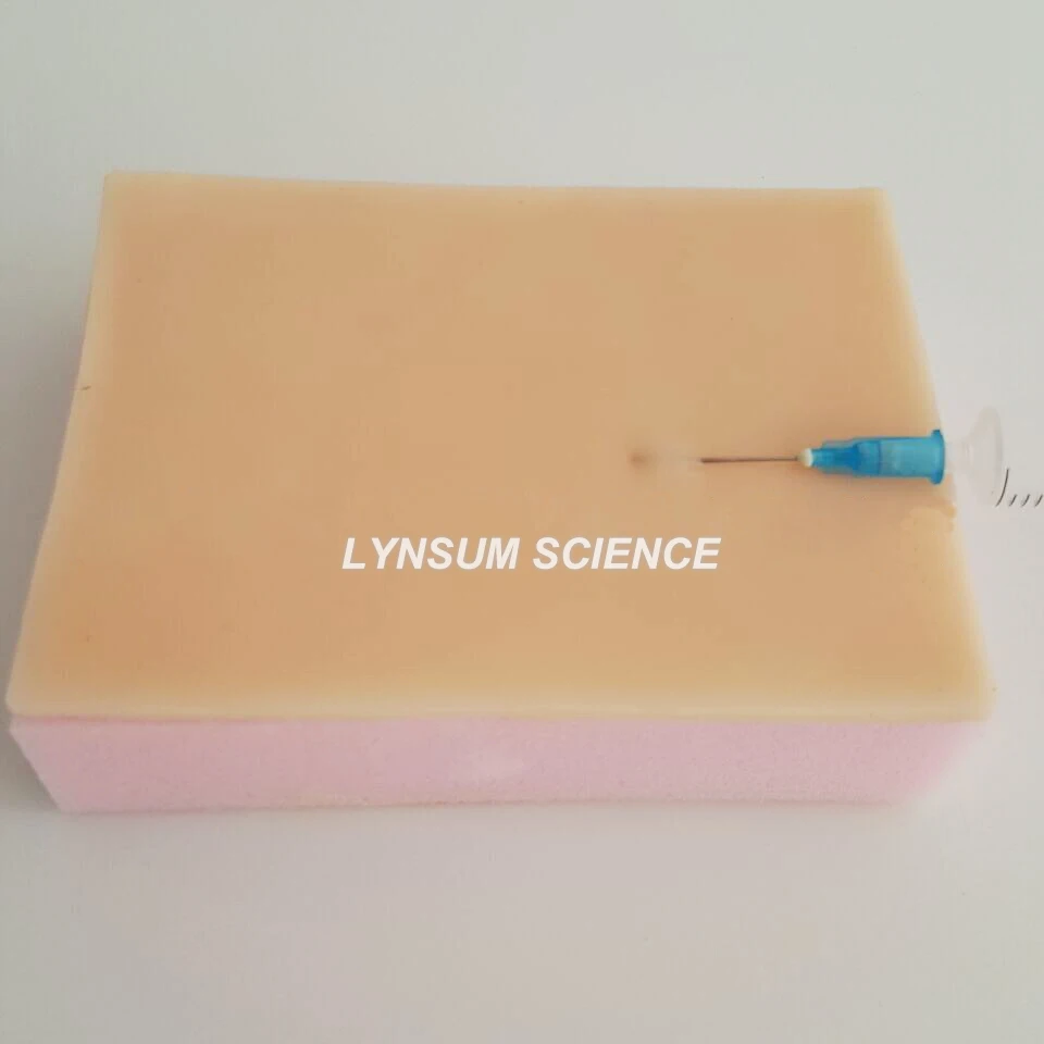 Medical Incision Suture Model Practice Acupuncture Manipulation Simulation Skin Suturing Model Double Layer
Medical Incision Suture Model Practice Acupuncture Manipulation Simulation Skin Suturing Model Double Layer