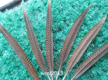 Wholesale 100 pcs Natural color rare golden pheasant tail feather 10-12 inches / 25-30 cm show party decoration
Wholesale 100 pcs Natural color rare golden pheasant tail feather 10-12 inches / 25-30 cm show party decoration