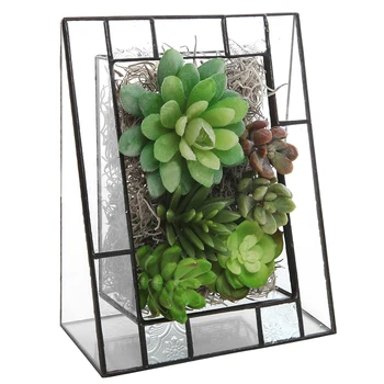 New High Quality Hot Sale Triangular Shape Glass Succulent Planter Box/Angled Terrarium Display Stand Home Garden Decoration
New High Quality Hot Sale Triangular Shape Glass Succulent Planter Box/Angled Terrarium Display Stand Home Garden Decoration
