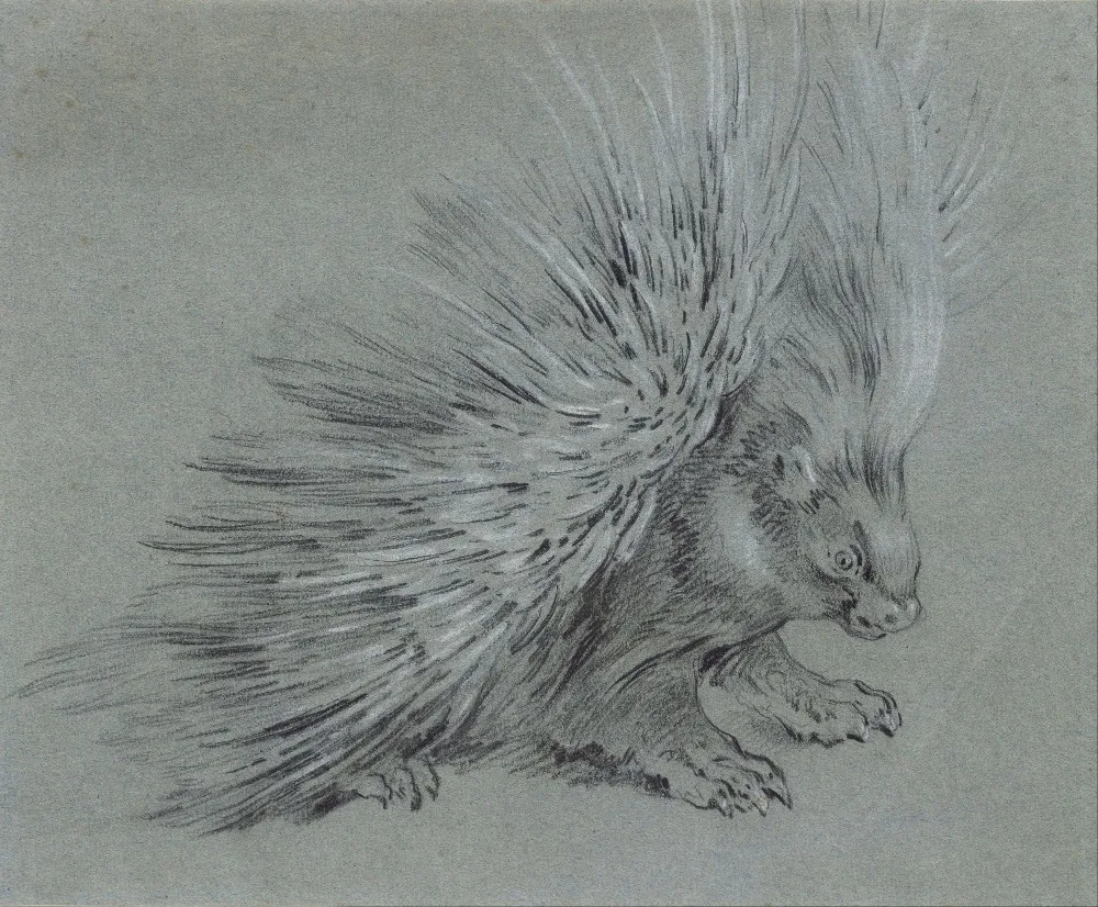 Репродукция масляной живописи, ручная работа, картина маслом, Porcupine от Jean-Baptiste Oudry, Классическая фигура, музейное качество
Репродукция масляной живописи, ручная работа, картина маслом, Porcupine от Jean-Baptiste Oudry, Классическая фигура, музейное качество