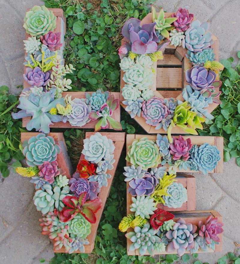 20-succulent-garden-ideas-homebnc